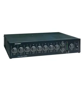 250 Watt Power Vector Mod Amp BG-V250