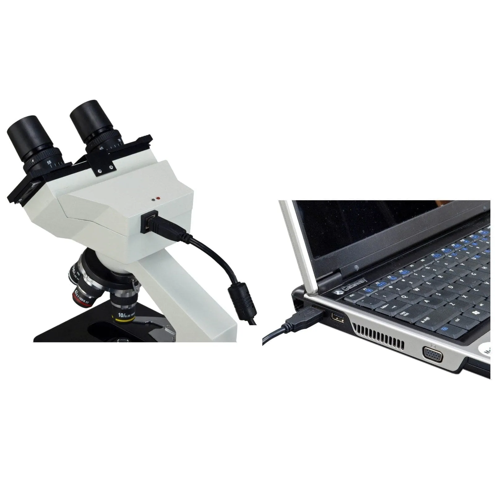 40X-2000X 1.3MP Digital Integrated Microscope with LED Illumination