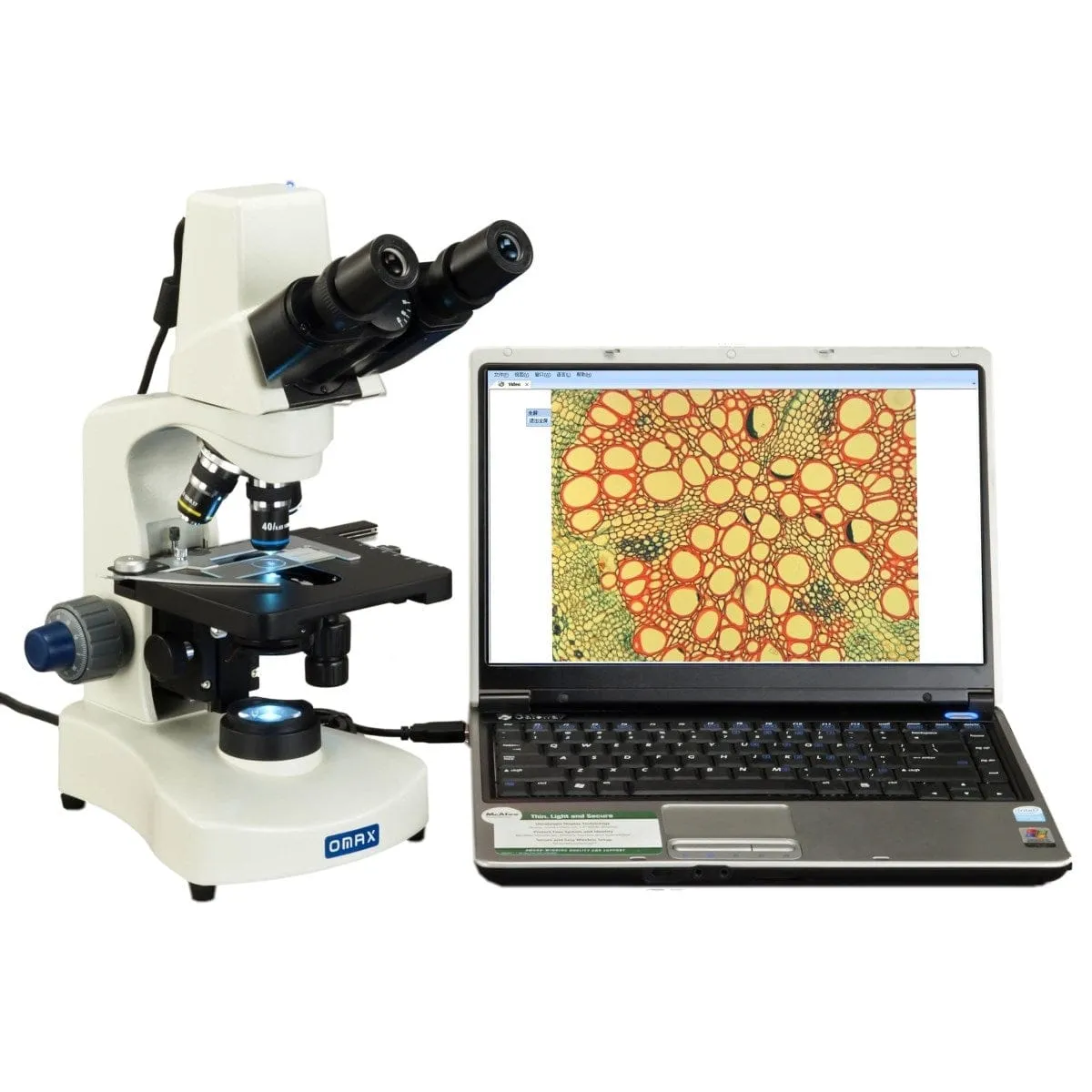 40X-2000X 3MP Digital Integrated Microscope with LED Illumination   Blank Slides, Tissues