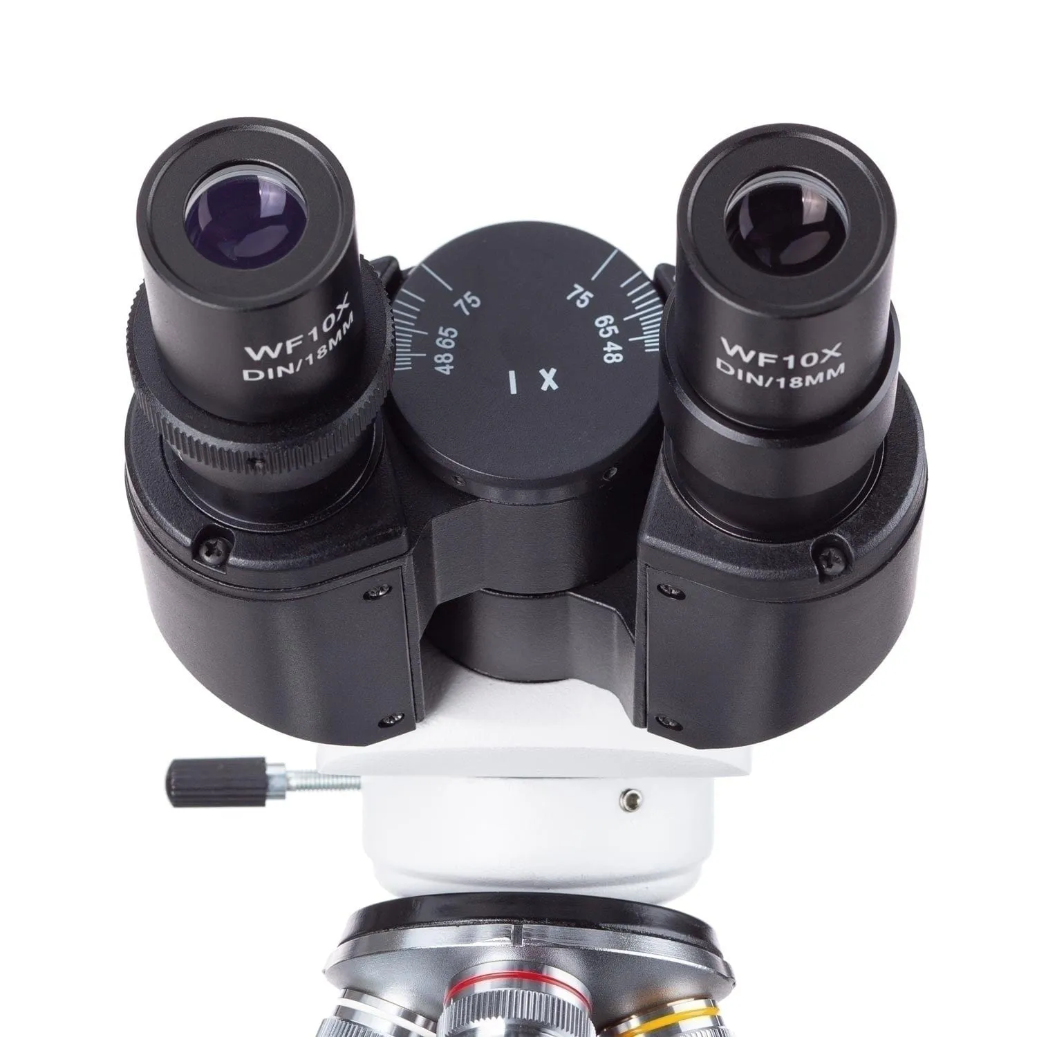 AmScope B120 Series Binocular Compound Microscope 40X-1000X Magnification with LED, Siedentopf Head, 50 Blank Slides and 5MP Digital Camera