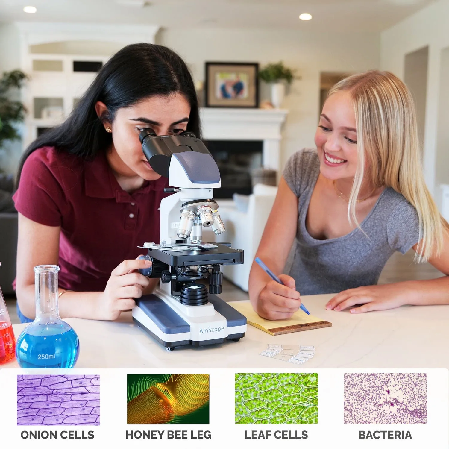 AmScope B120 Series Student & Professional LED Binocular Compound Microscope 40X-2500X Magnification With 3MP Digital Camera and 3D Stage