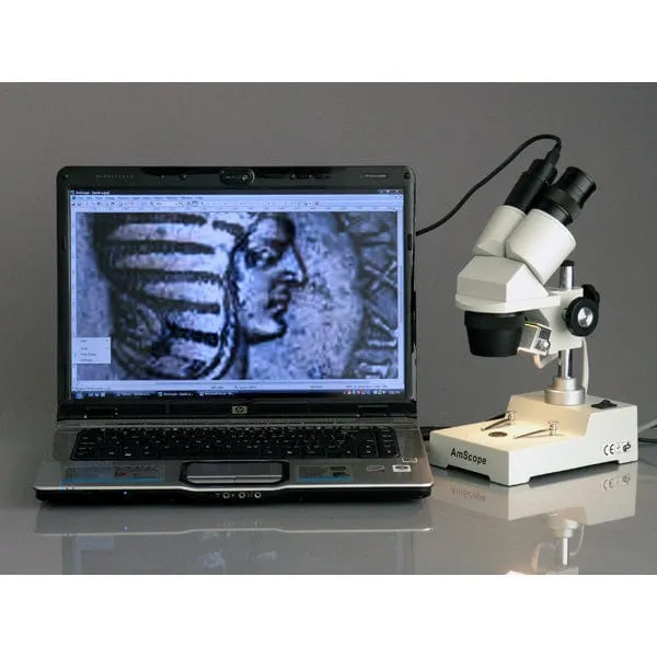 AmScope Compact Multi-Lens Binocular Stereo Microscope 20X-40X Magnification with Reverse Angled Head, Metal Pillar Stand, Top Lighting