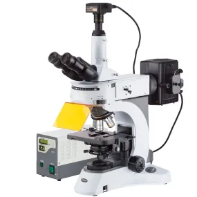 AmScope FM820 Series Upright Fluorescence Trinocular Compound Microscope 40X-1000X Magnification with Rotating Multi-filter Turret and 10MP Camera