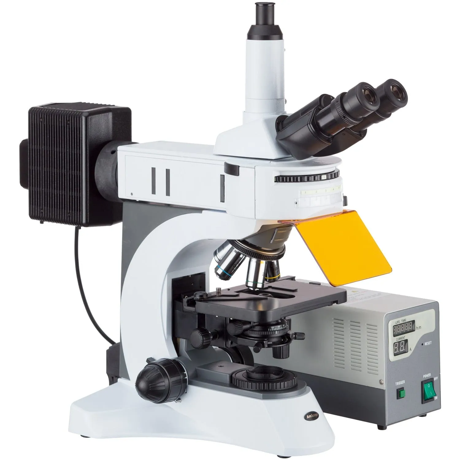 AmScope FM820 Series Upright Fluorescence Trinocular Compound Microscope 40X-1000X Magnification with Rotating Multi-filter Turret and 14MP Camera