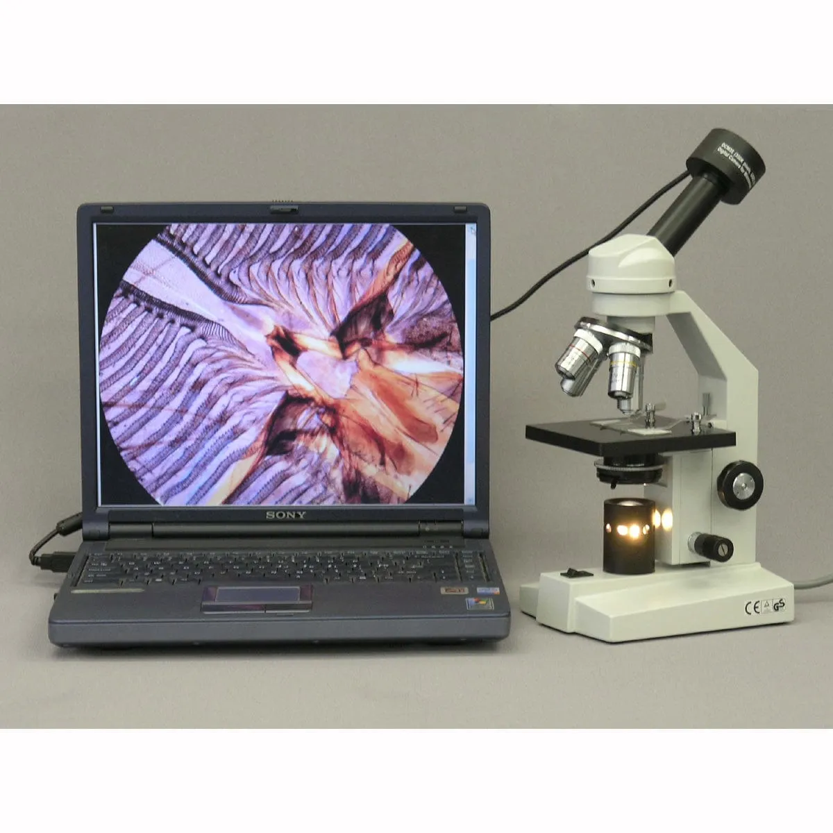 AmScope M500 Series Student Monocular Compound Microscope 40X-1600X Magnification with USB Digital Camera and Slides