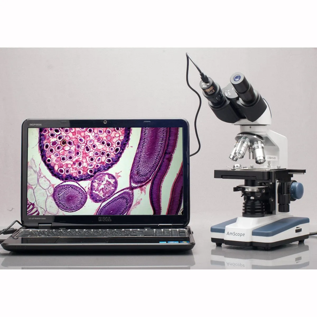 AmScope MD Series 3.0MP USB 2.0 Color CMOS Digital Eyepiece Microscope Camera