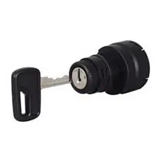 Ignition Switch 4 Position Bg1