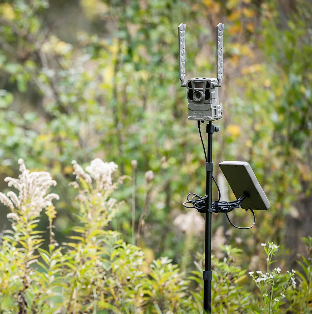 Reveal Adjustable Camera Stake