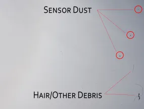 Sensor Cleaning