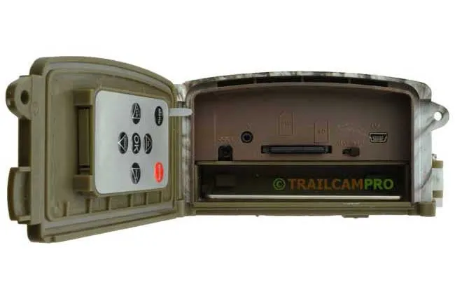 USA Trail Cams Recruit