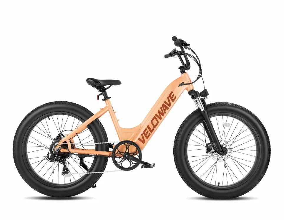 Velowave Rover Step Thru Electric Bike